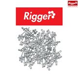 Rigger Rivet Pop Size: Fap4818Pec - Pkt 100