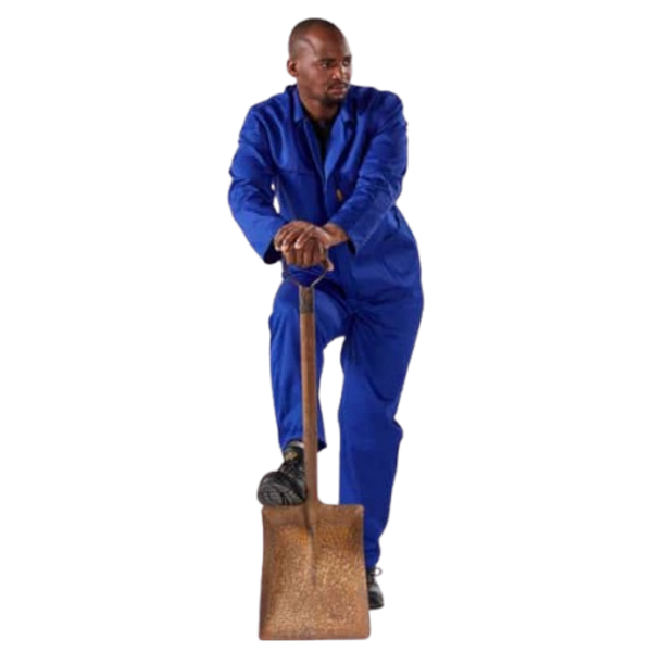 Dromex Royal Blue Conti Suit