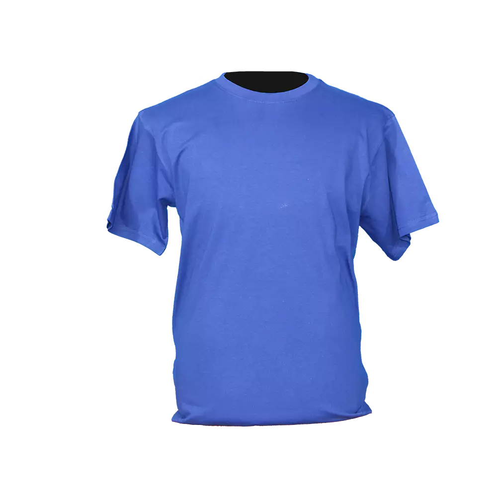 Royal Blue Crew neck T - shirt 160g